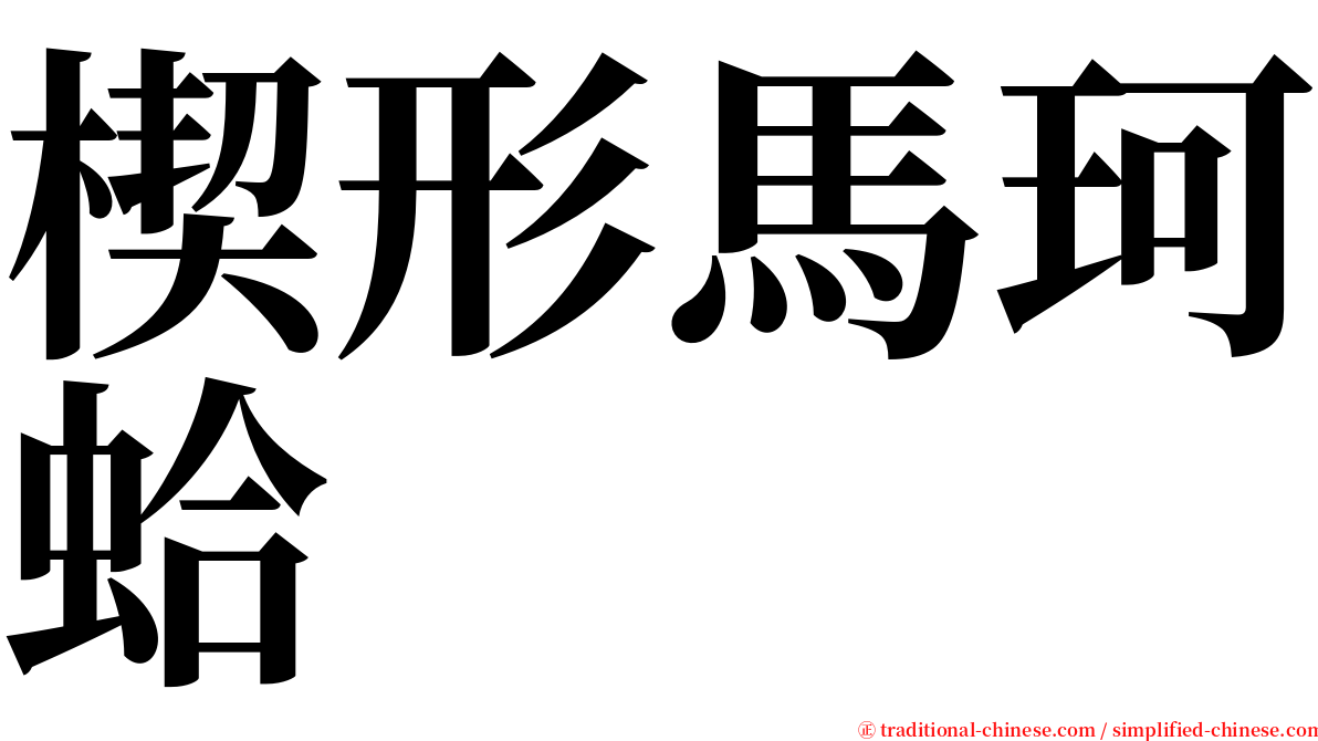 楔形馬珂蛤 serif font