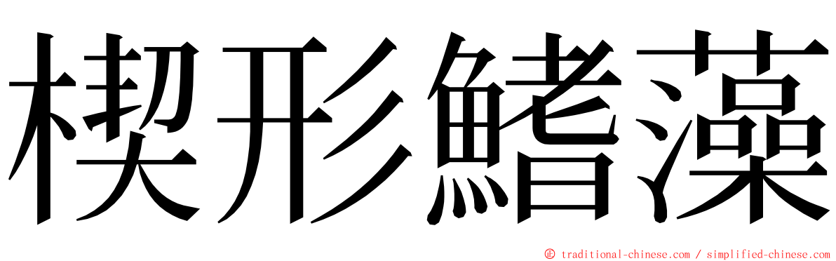 楔形鰭藻 ming font