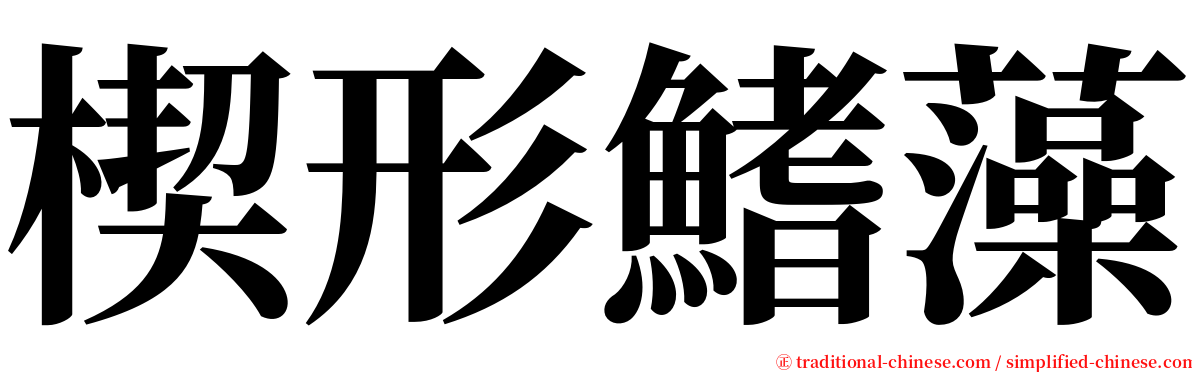 楔形鰭藻 serif font