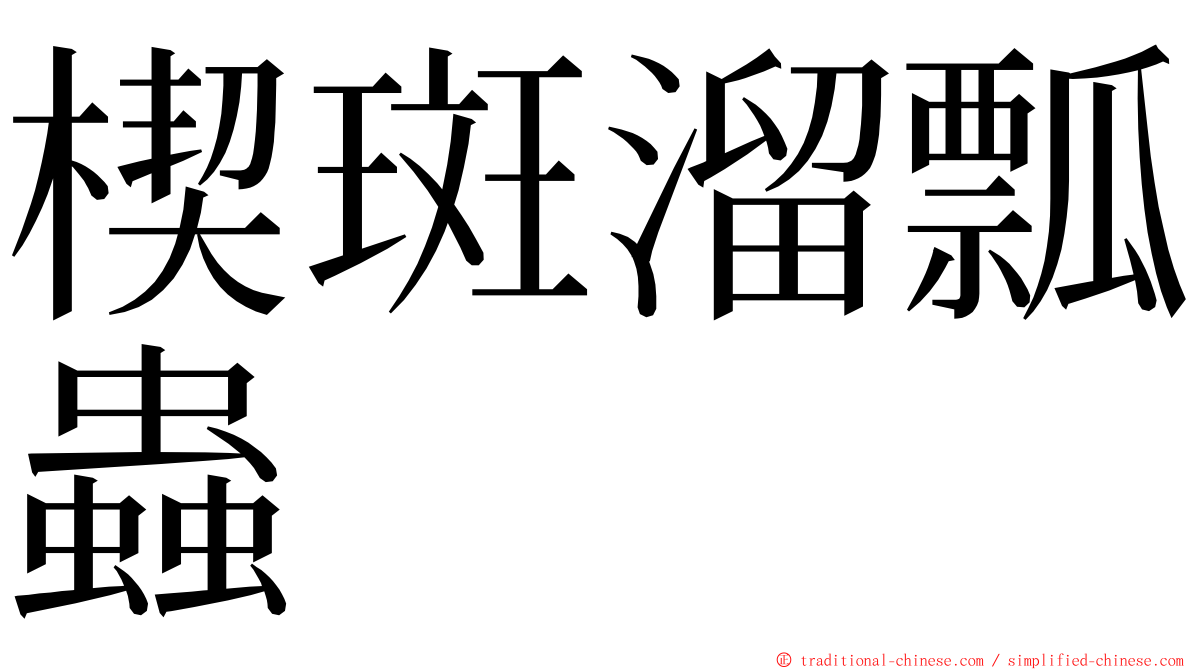 楔斑溜瓢蟲 ming font