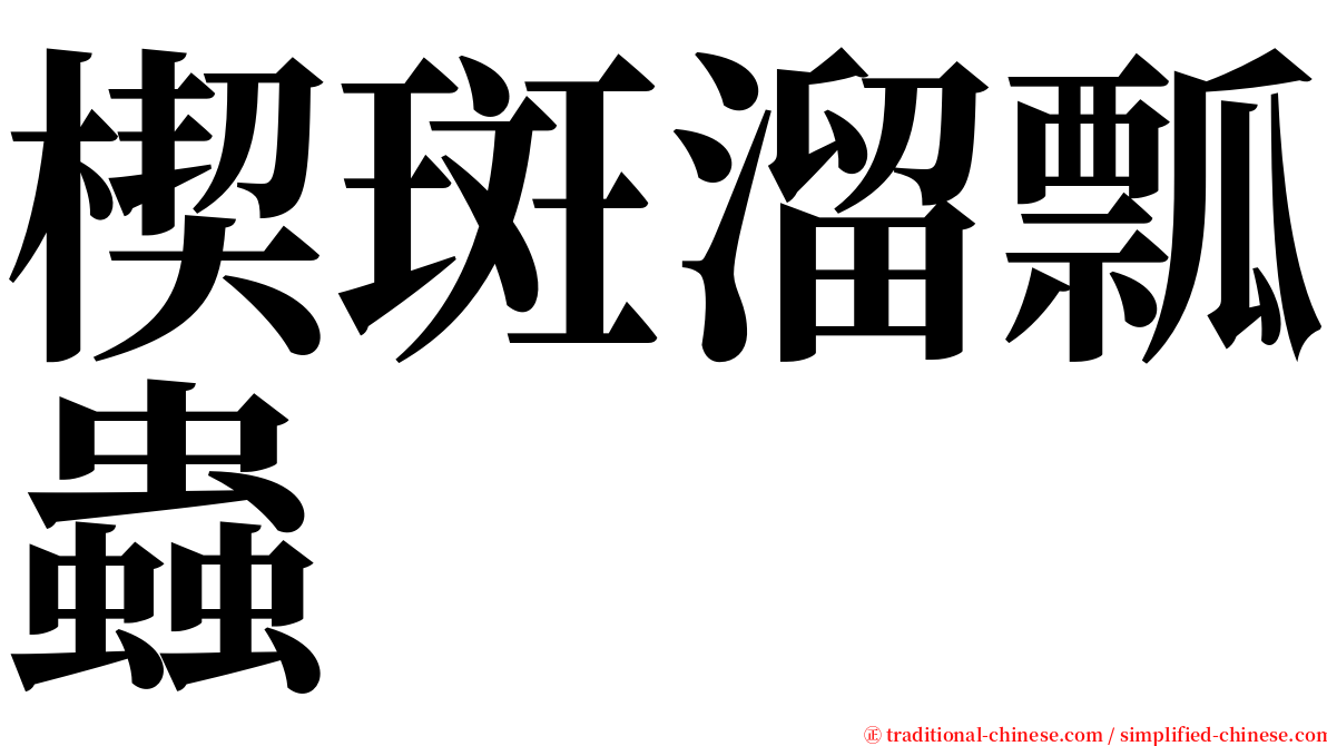 楔斑溜瓢蟲 serif font