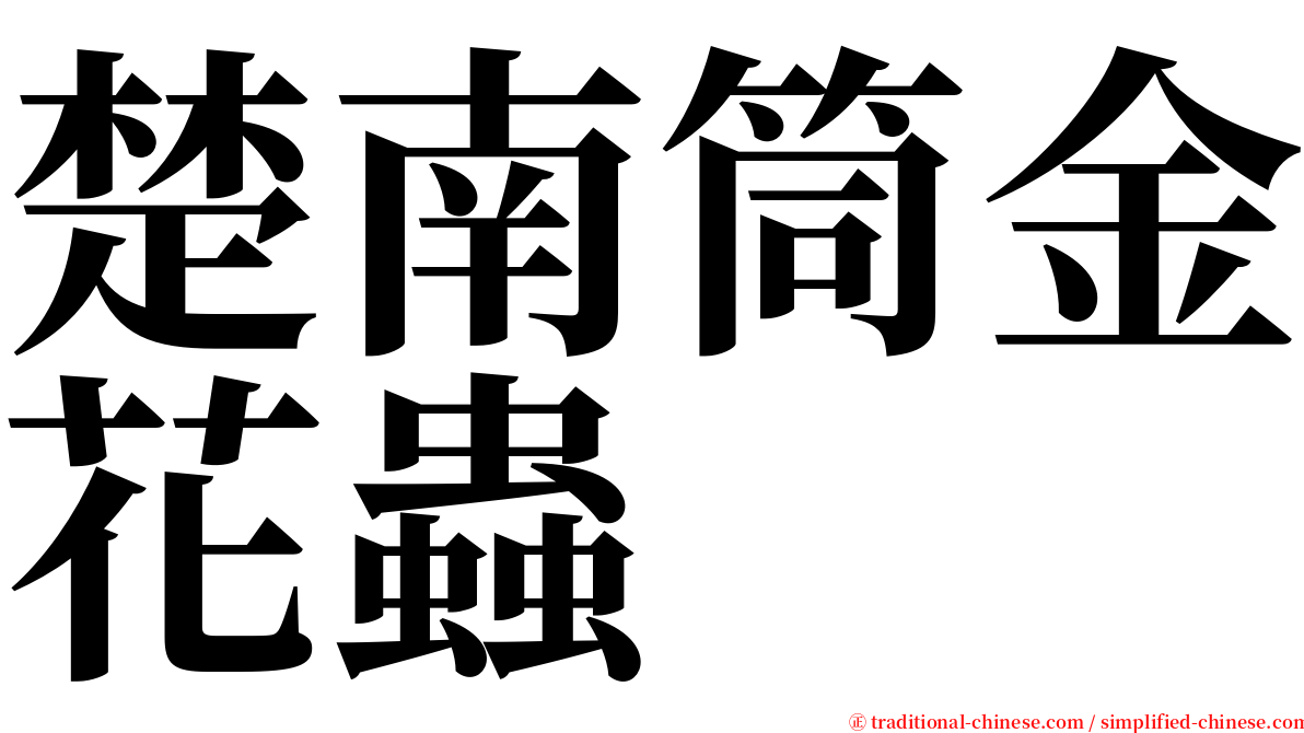 楚南筒金花蟲 serif font