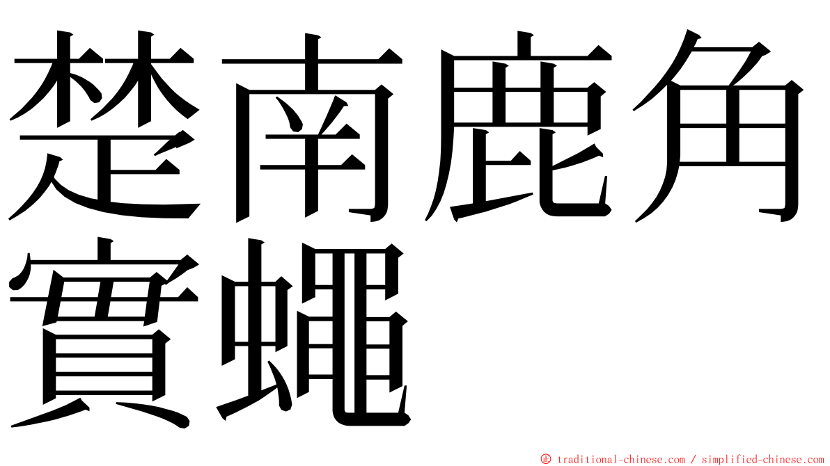 楚南鹿角實蠅 ming font