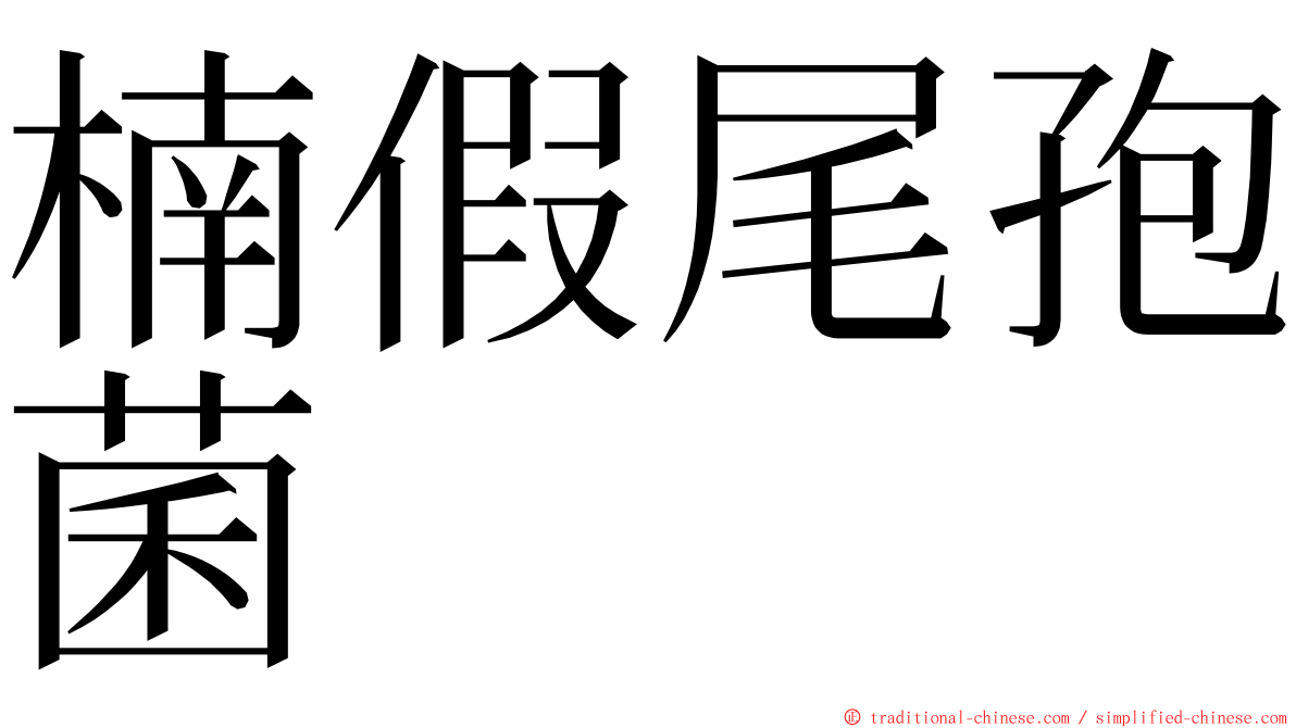 楠假尾孢菌 ming font