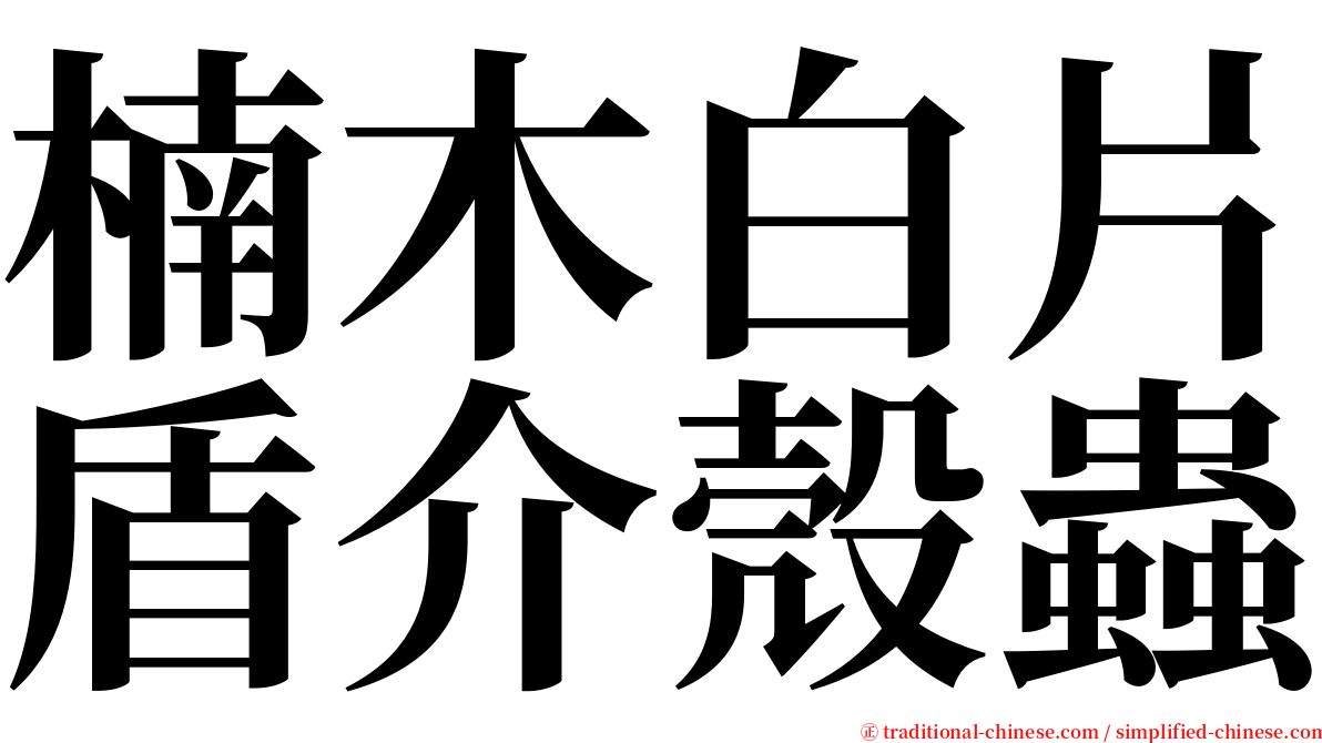 楠木白片盾介殼蟲 serif font