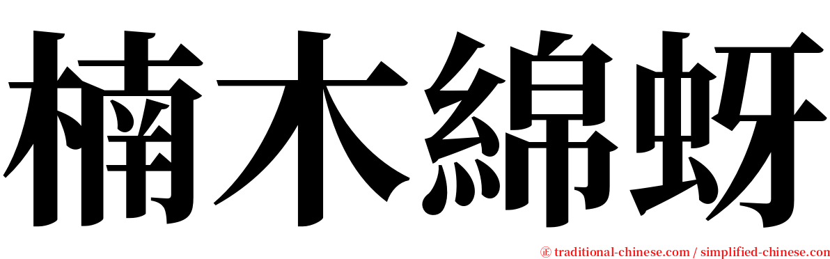 楠木綿蚜 serif font