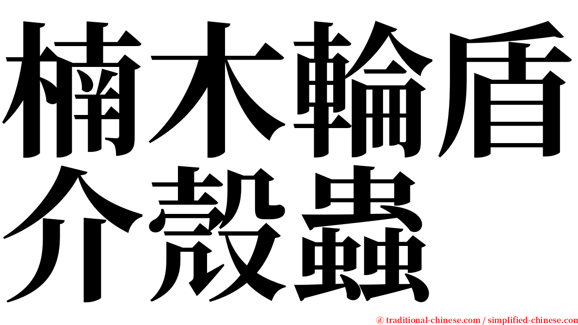 楠木輪盾介殼蟲 serif font