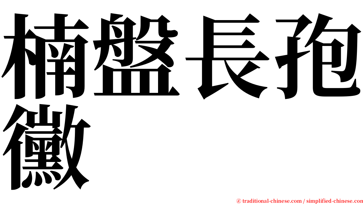 楠盤長孢黴 serif font