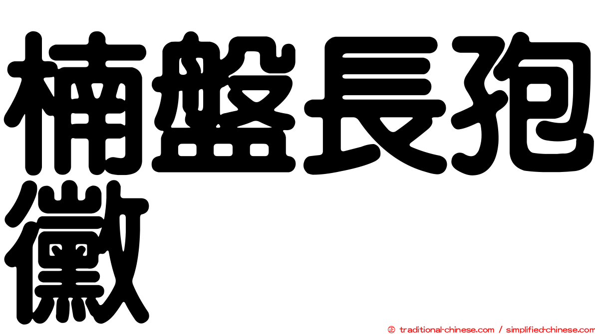 楠盤長孢黴