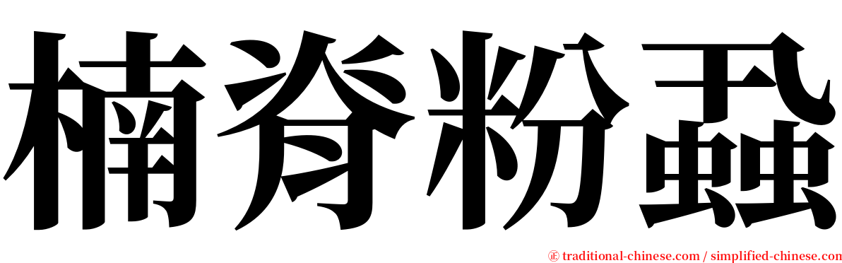 楠脊粉蝨 serif font