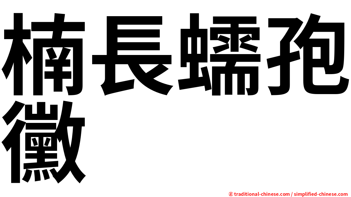 楠長蠕孢黴