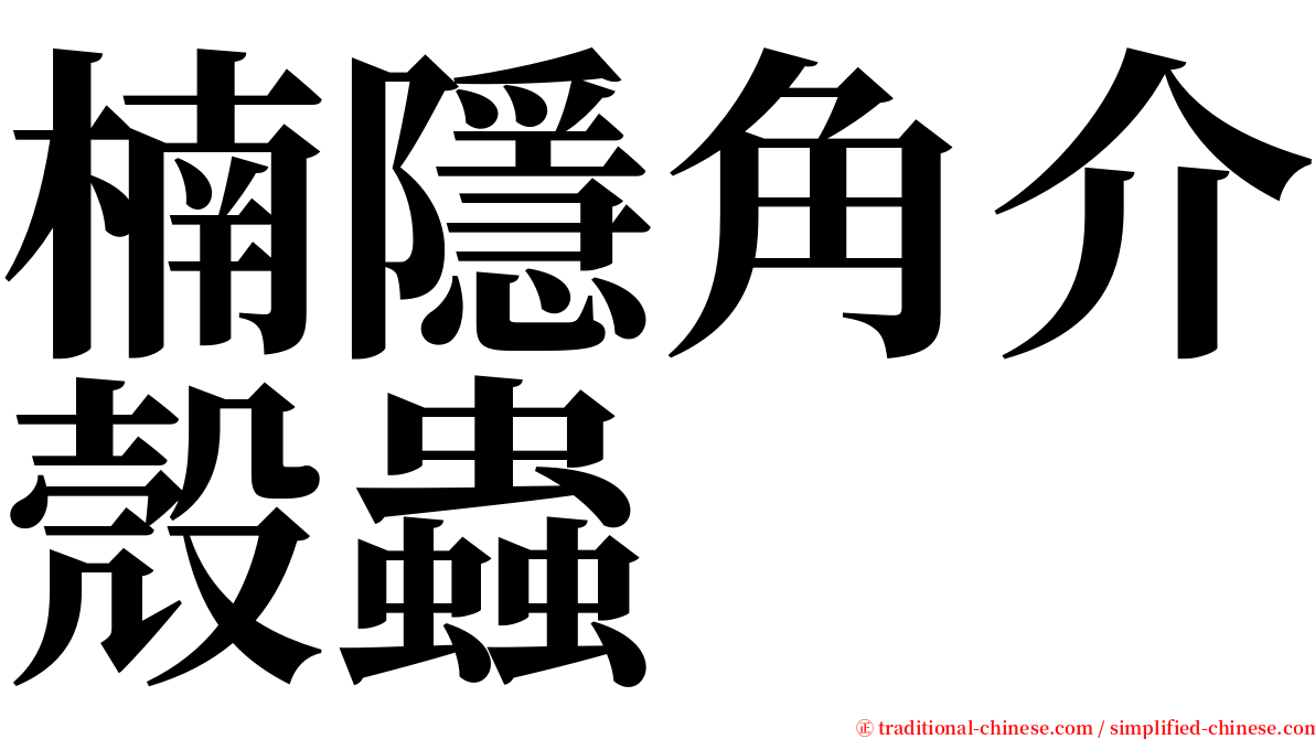 楠隱角介殼蟲 serif font