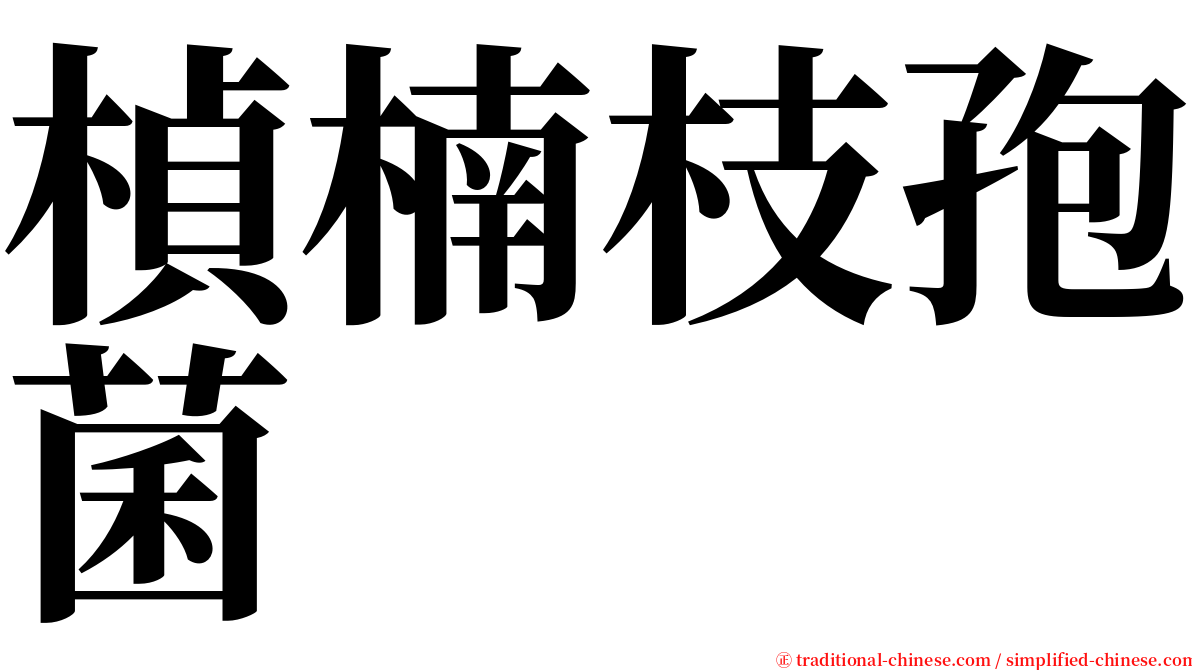 楨楠枝孢菌 serif font