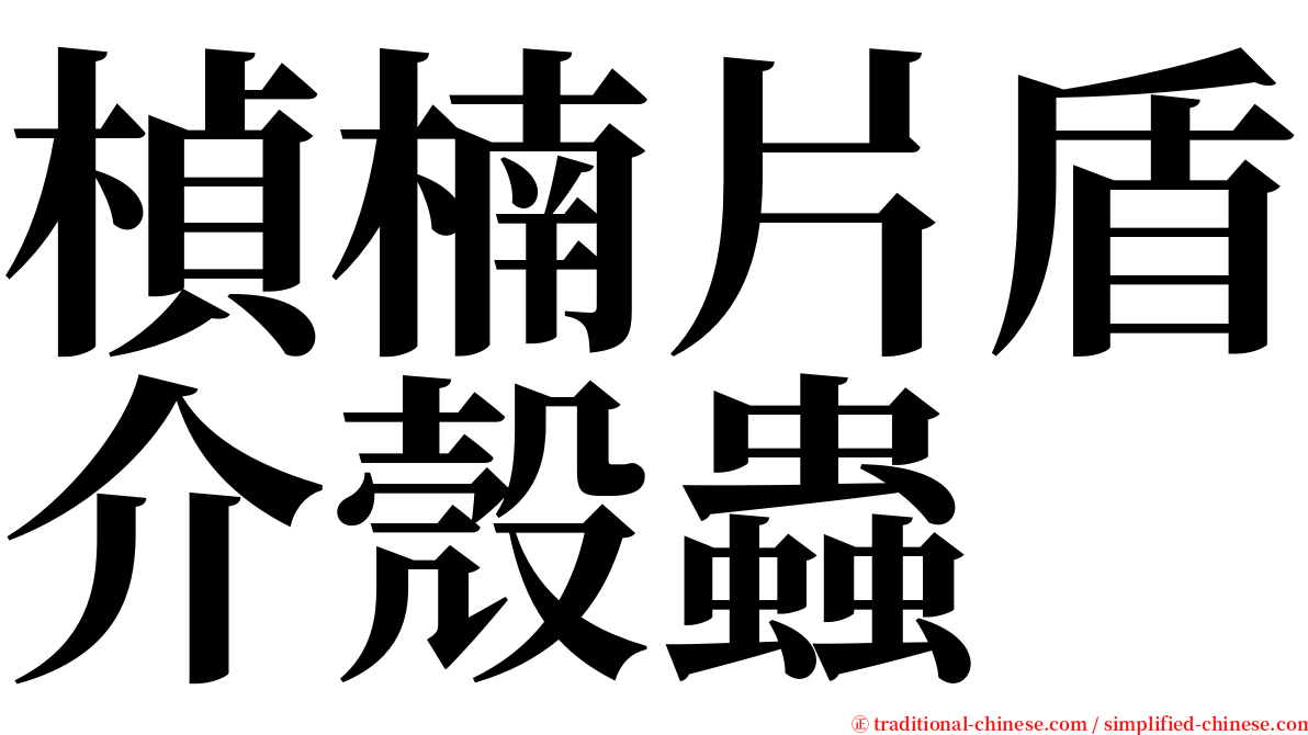 楨楠片盾介殼蟲 serif font