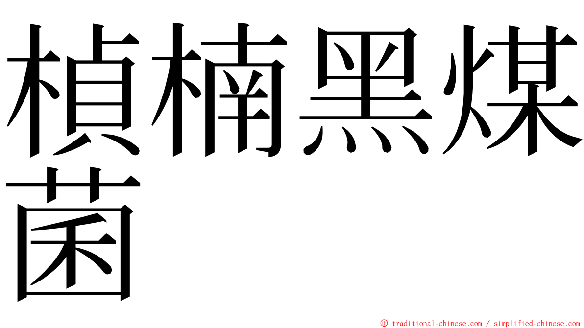 楨楠黑煤菌 ming font