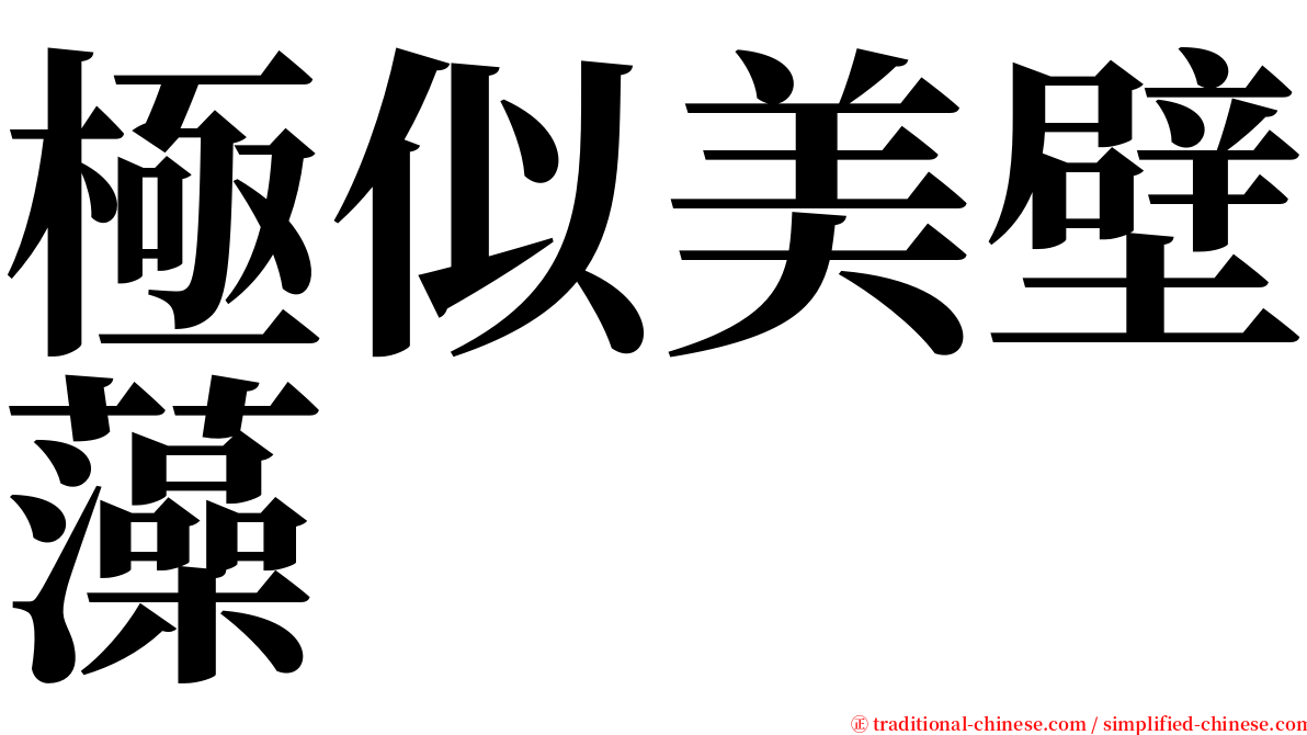 極似美壁藻 serif font