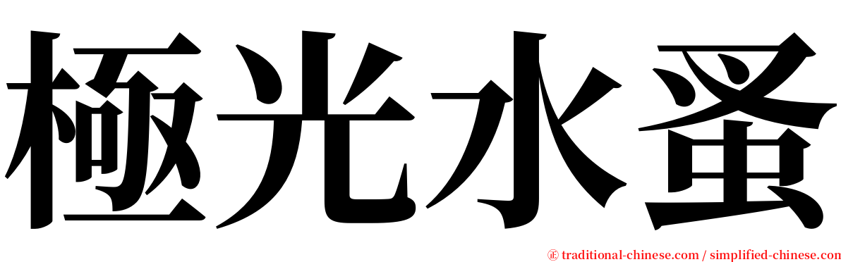 極光水蚤 serif font