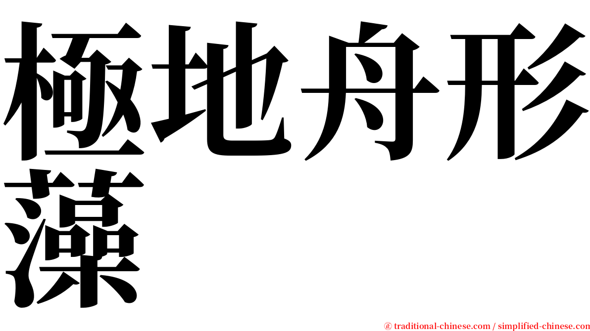 極地舟形藻 serif font