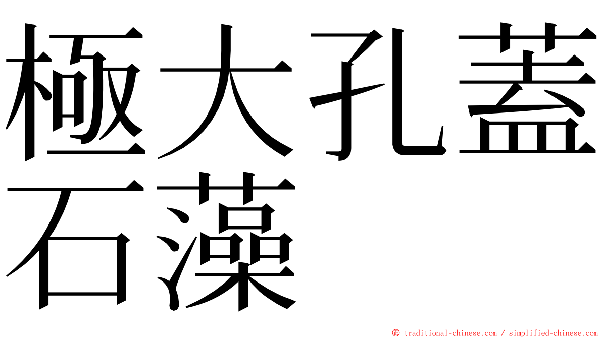 極大孔蓋石藻 ming font