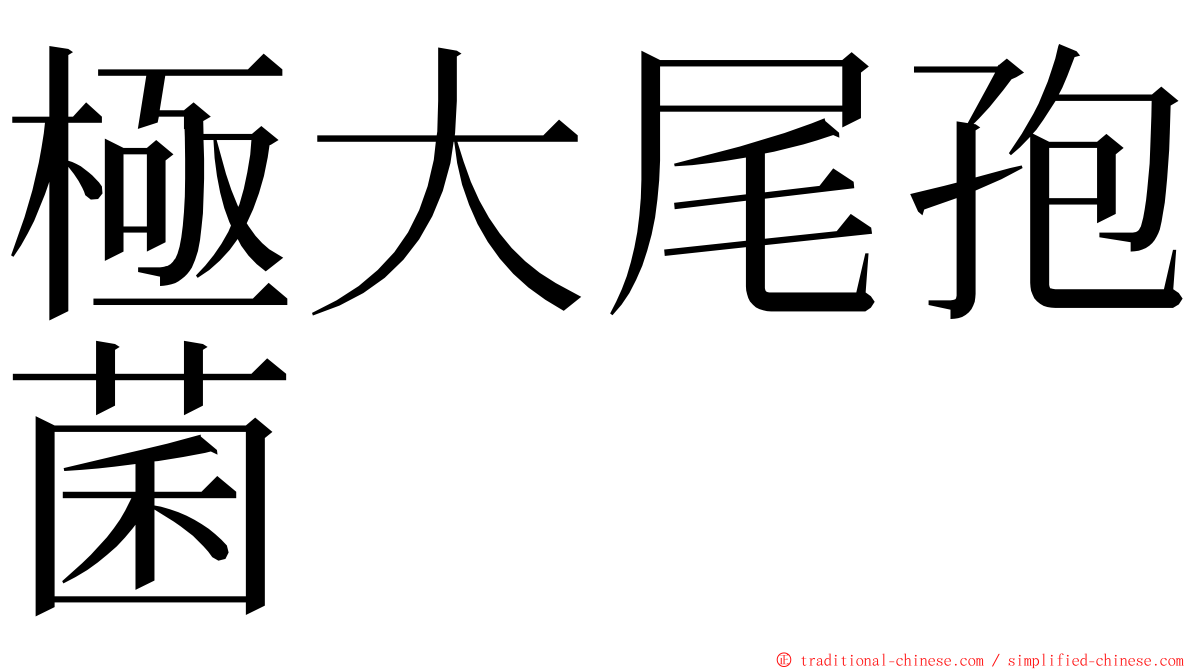 極大尾孢菌 ming font