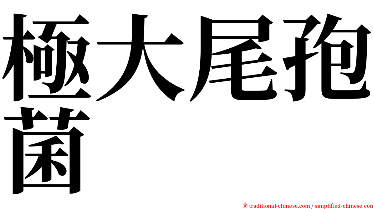 極大尾孢菌 serif font