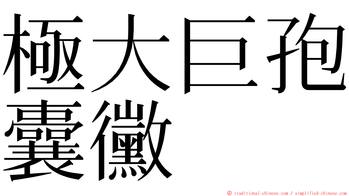 極大巨孢囊黴 ming font