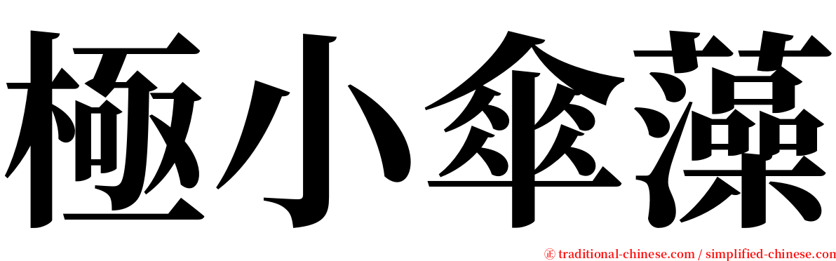 極小傘藻 serif font