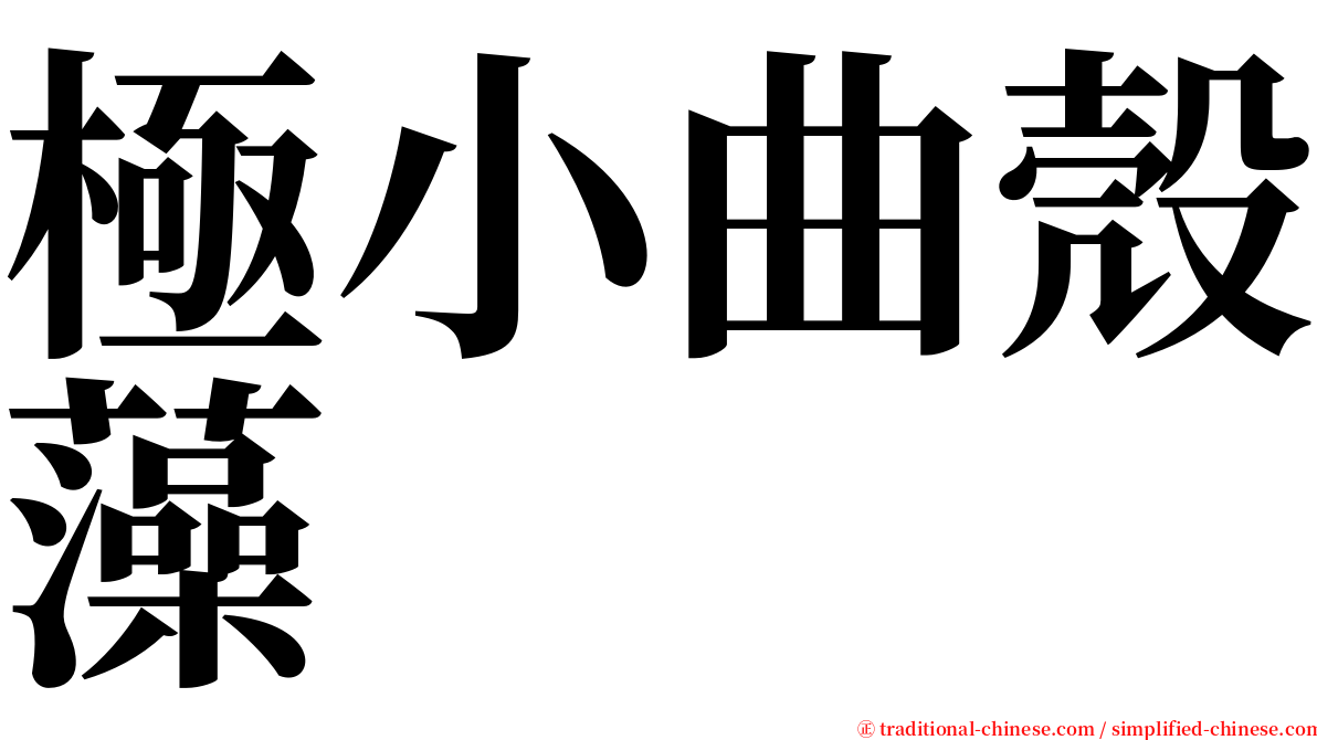 極小曲殼藻 serif font