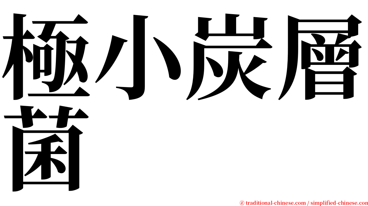 極小炭層菌 serif font