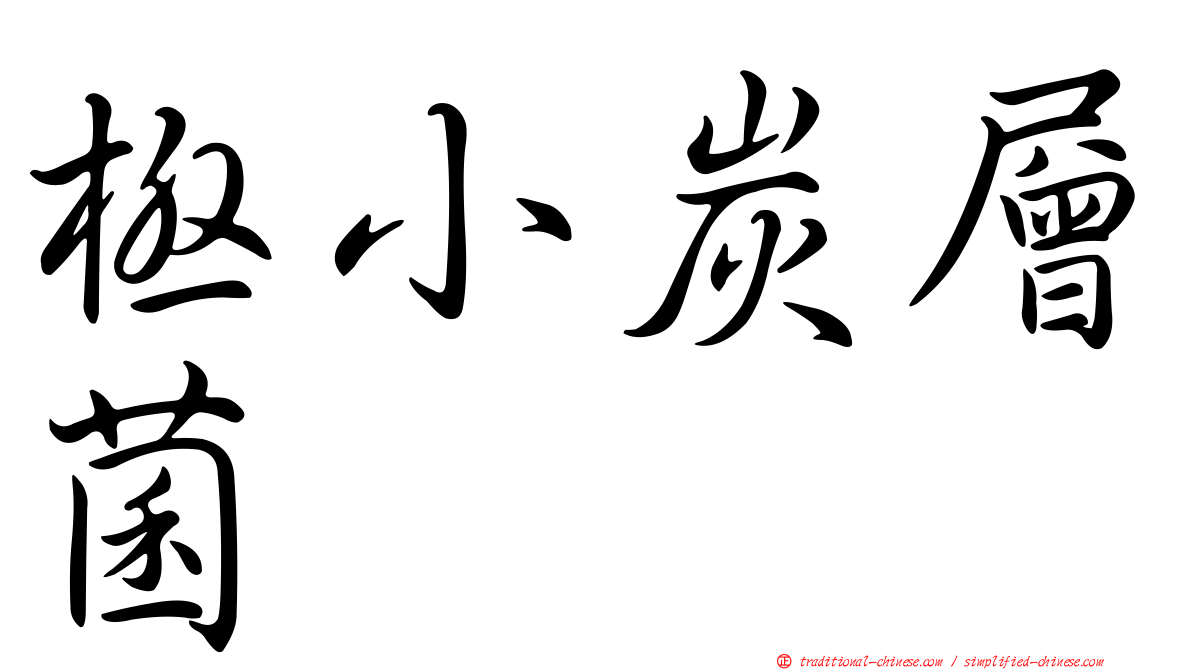 極小炭層菌