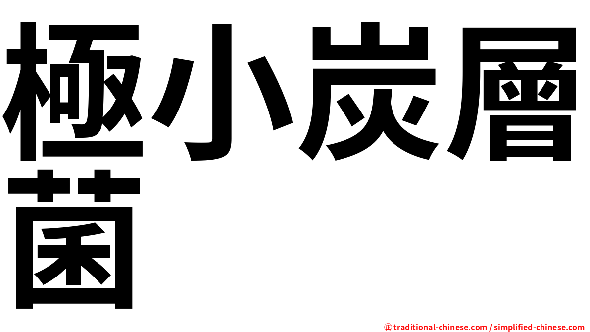 極小炭層菌