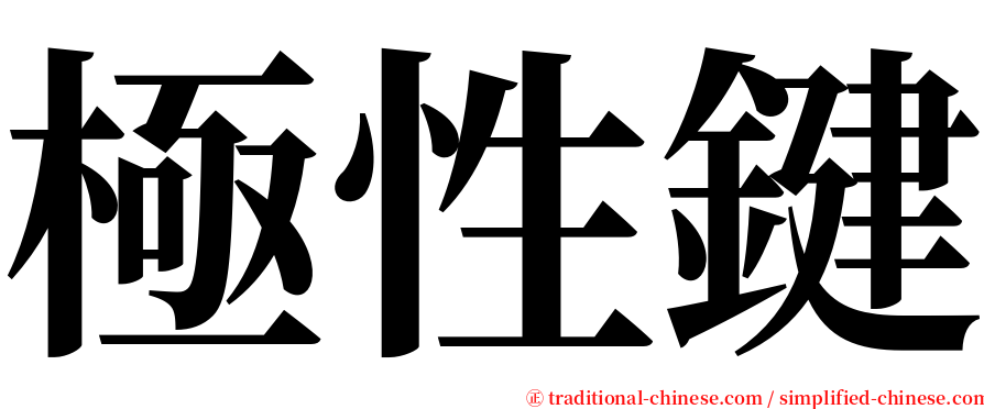 極性鍵 serif font