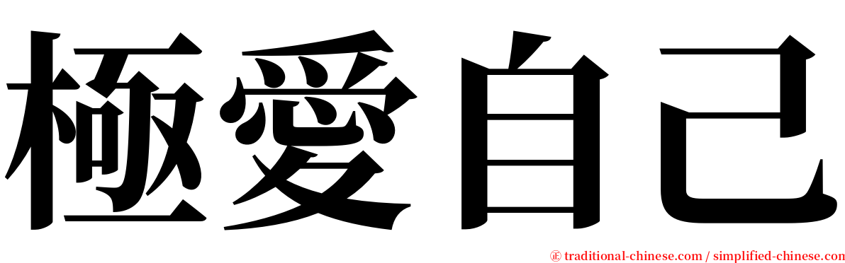 極愛自己 serif font