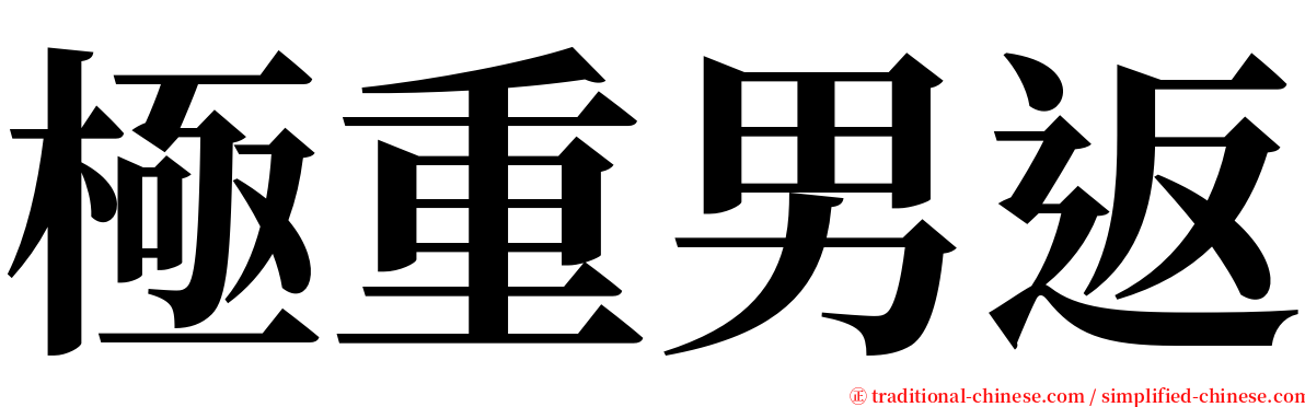 極重男返 serif font