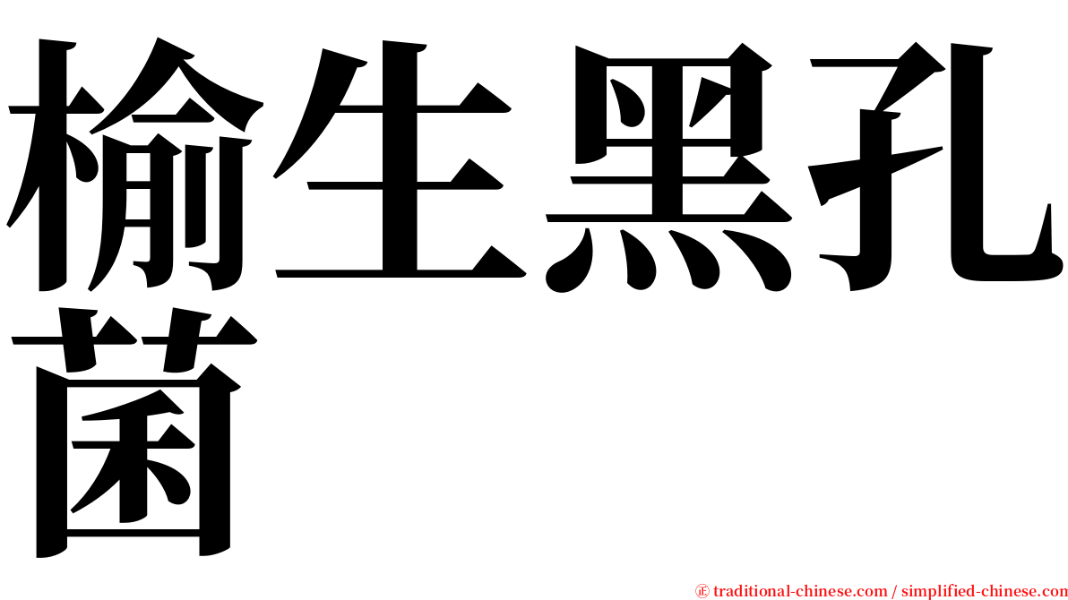 榆生黑孔菌 serif font