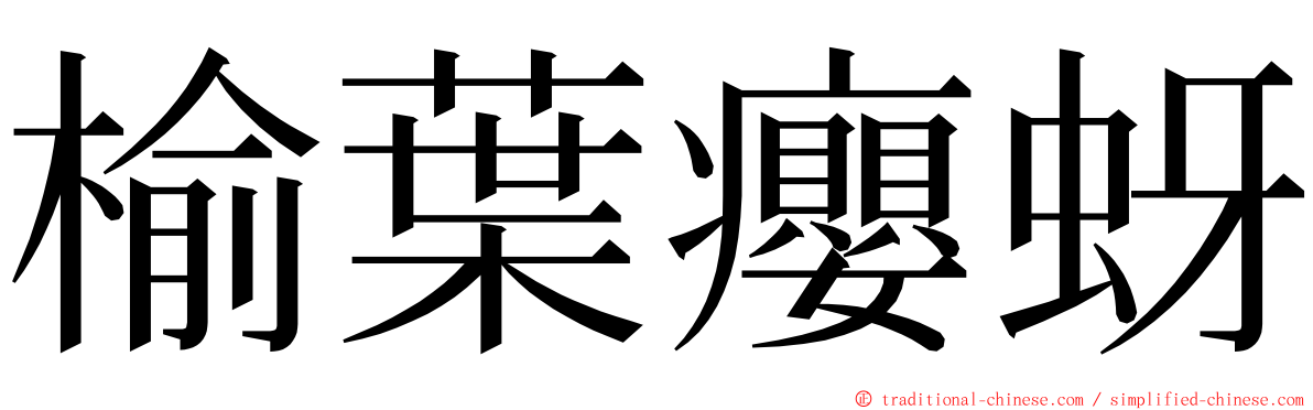 榆葉癭蚜 ming font
