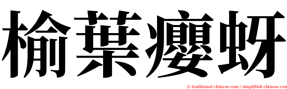 榆葉癭蚜 serif font