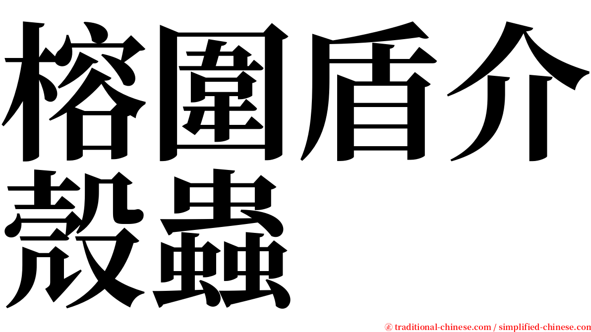 榕圍盾介殼蟲 serif font