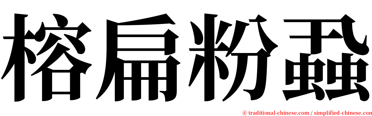 榕扁粉蝨 serif font