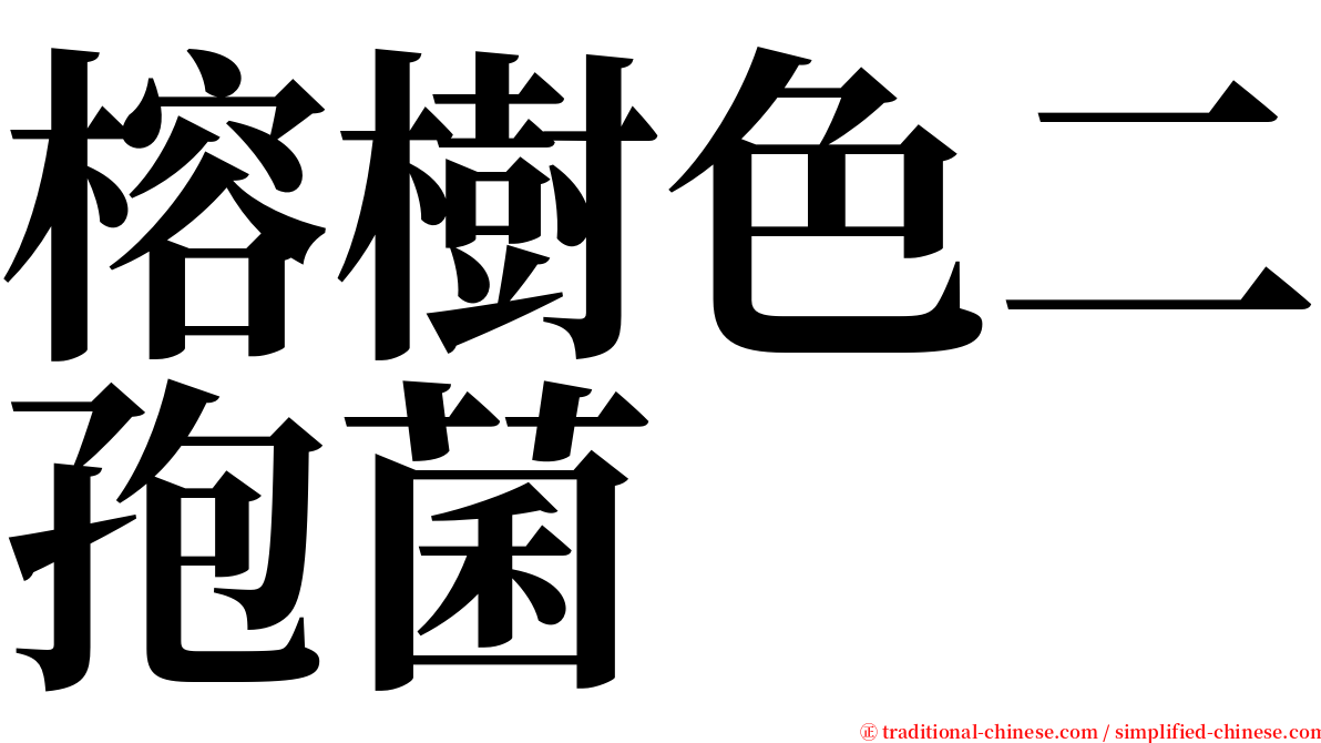 榕樹色二孢菌 serif font