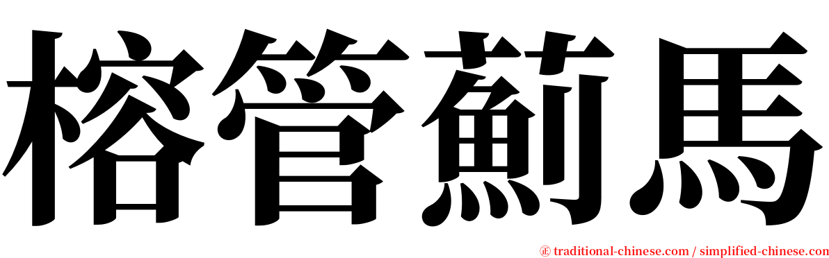 榕管薊馬 serif font