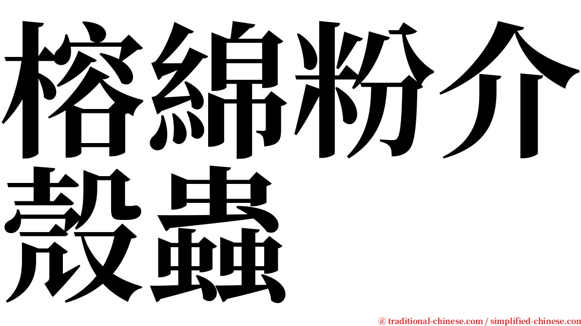 榕綿粉介殼蟲 serif font