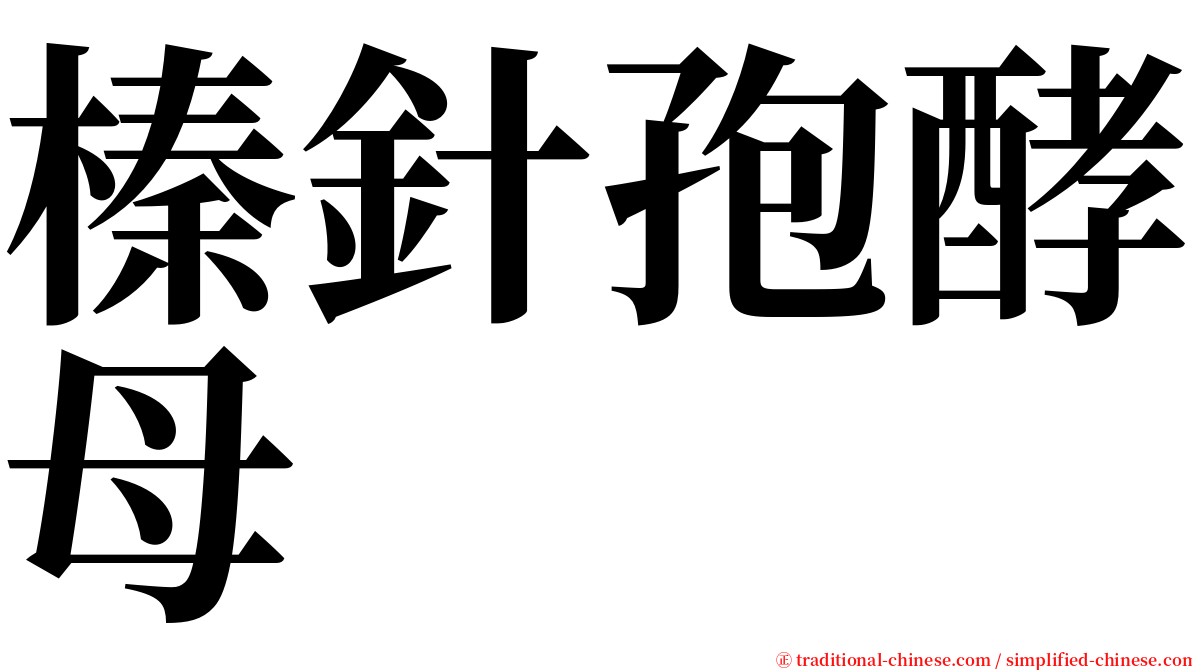 榛針孢酵母 serif font