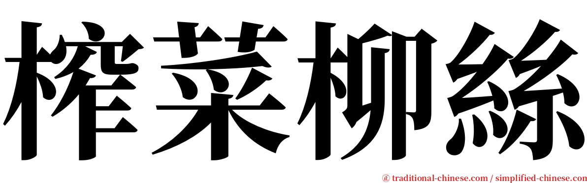 榨菜柳絲 serif font