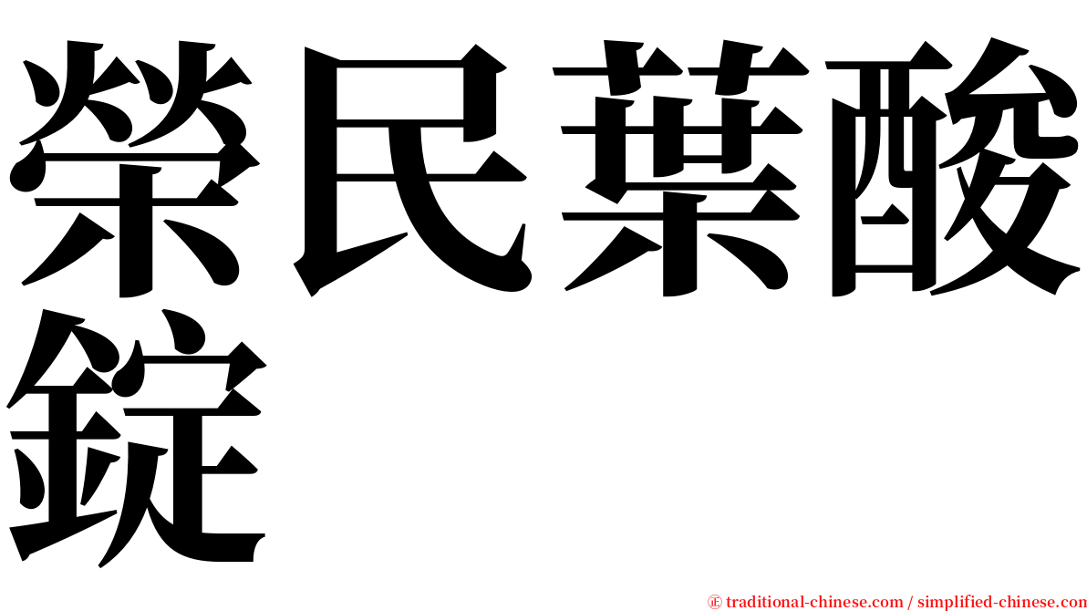 榮民葉酸錠 serif font