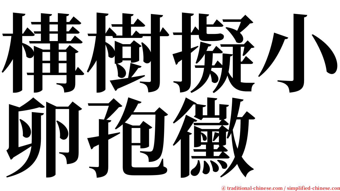 構樹擬小卵孢黴 serif font