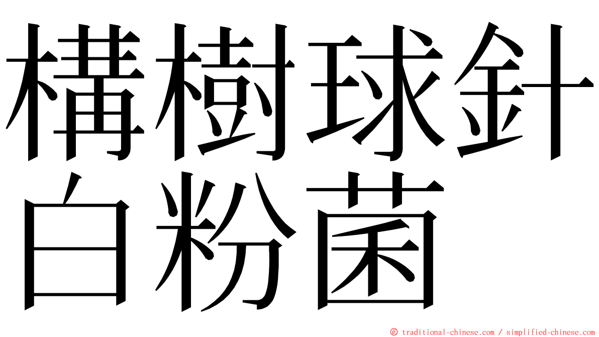 構樹球針白粉菌 ming font