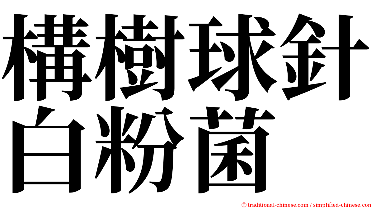 構樹球針白粉菌 serif font