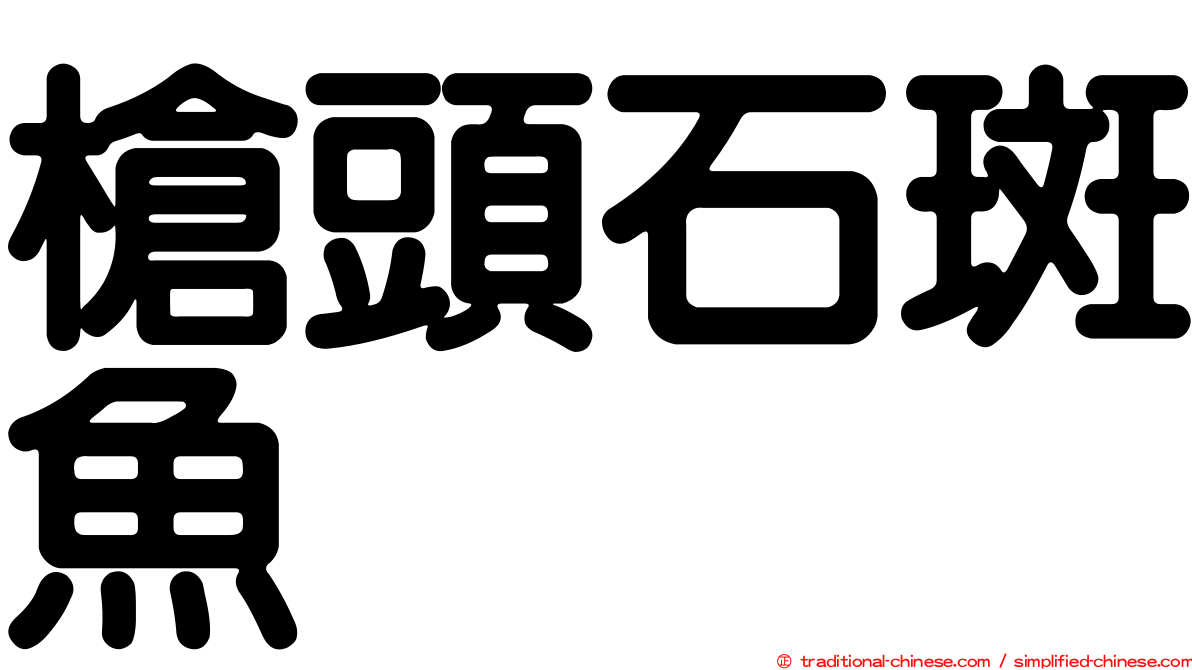 槍頭石斑魚