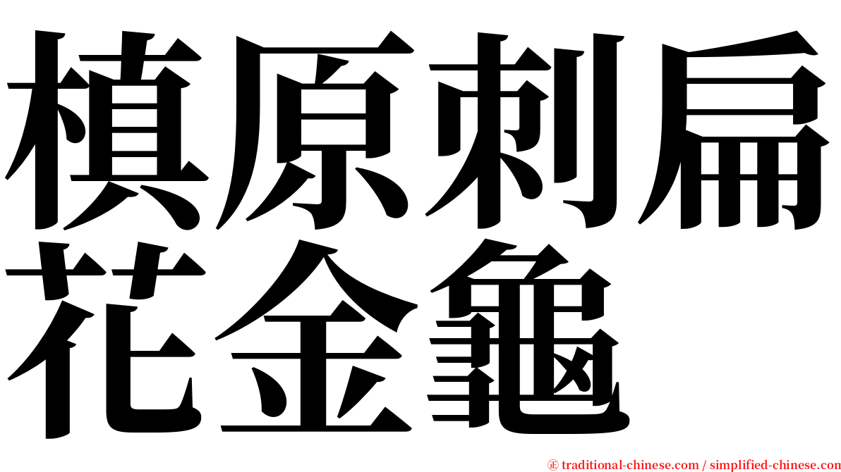 槙原刺扁花金龜 serif font